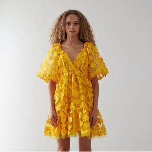 Delfi Collective Dress